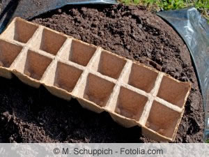 Anzuchttöpfe