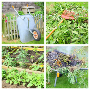 Gartenpflege