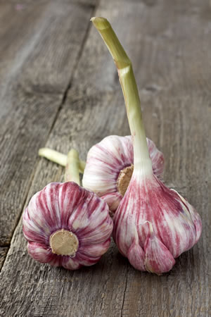 Knoblauchzehen