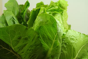 Romana-Salat