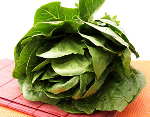 Ernte von Kochsalat