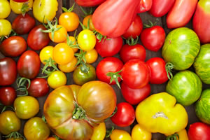 Tomatensorten