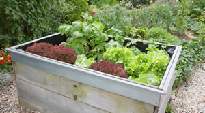Hochbeet aus Holz gebaut