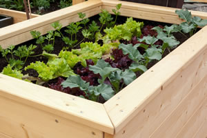 Hochbeet selbst gebaut