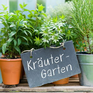 Kräutergarten
