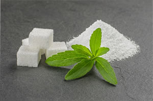 Ernte von Stevia
