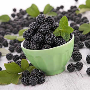 Brombeeren-Ernte