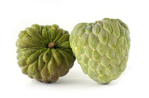Cherimoya