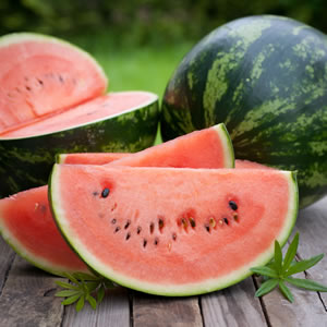 Ernte von Melonen