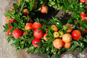 Zierapfel im Adventskranz