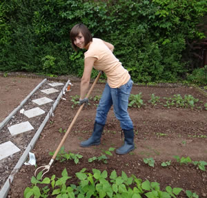 Gemüsegarten anlegen