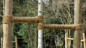Obstbaum Halt schenken
