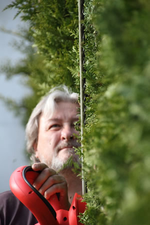 Hecke schneiden