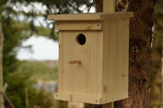 Nistkasten aus Holz selbst gebaut