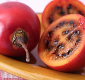 Baumtomate Rezepte - Pflege Tamarillo